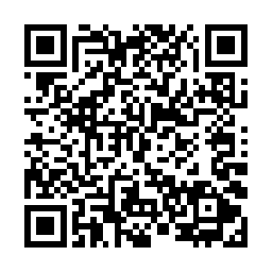 而那白角族女子和其家人也要想办法保护并抓捕起来二维码生成