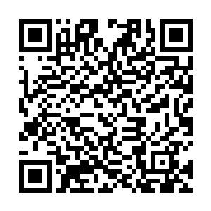而那颗血珠会因为缺少了一部分的气息而永远无法完整二维码生成