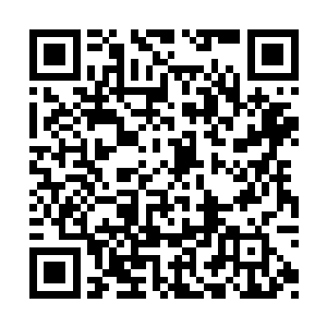 而钱多多却在这一周内对客户表现出强烈的热情二维码生成