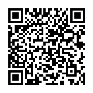 而阵一将他的神识透过了混乱的身体延展进了大阵二维码生成
