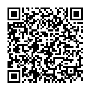 而陌路离殇其实也是被易红仙人那突然仿佛自夸的话给弄的呆愣了二维码生成
