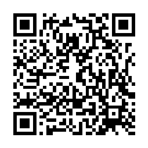 而随后楚旬等人也以最快的速度从这个缺口之中冲了出去二维码生成