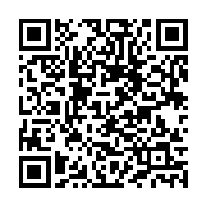 而随着刑天的精血开始持续不断的强化楚旬的身体二维码生成