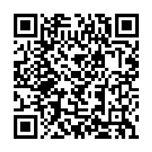 而雷公电母和前来助威的二十八宿也都各持兵刃二维码生成