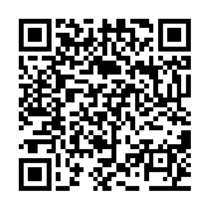 而霍拉尔黑蛇术士更是有着提升为纯血科莫音巨蛇术士的可能二维码生成