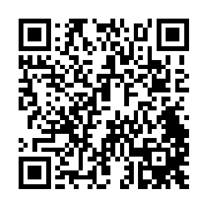 而青蛇这时候也是眼睛之中露出了不可思议的神情二维码生成