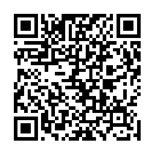 而靠近山壁的已经七月余的小传送阵在这时突然绽放出光芒二维码生成