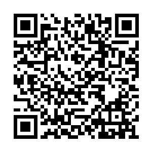 而音效组的工作人员则是因为自己的猜测而震惊二维码生成