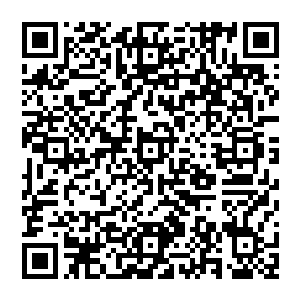 而马文之前在马戈尔学院之前的杀人事件以及之后的仲裁大厅发生的事情都已经在三环高塔附近流传开来二维码生成