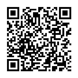 而鬼王凭着他的那些诡计成功跻身十二战王之一也不是白说的二维码生成