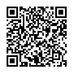 而齐一铭则是时不时的抱着一个套着垃圾袋的垃圾篓子干呕两声二维码生成