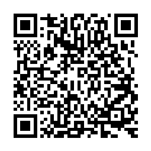 而龙傲天此时也是极力的催动着体内的灵力来抵御这里的寒气二维码生成
