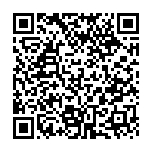 而龙傲天的之前的时候得到的星空秘境之中更是有无数的珍贵的药材二维码生成