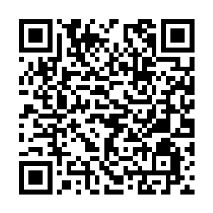 而龙宇的身子宛若一条划破烟尘的飞矢的利箭一样二维码生成