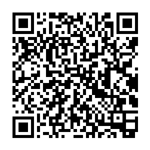 而龙王却是看着双子圣骑顿时将自己的脑袋狠狠的朝着双子圣骑的脑袋撞了过去二维码生成