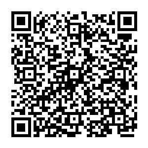 而龙魂枪则直接去势不减的化作一条恐怖的紫金色的神龙直接跟血色的巨手碰到了一起二维码生成