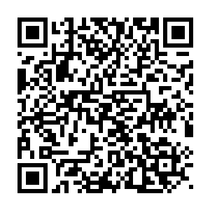 而龟丞相则是因为在金辰界府中生活的岁月比金蛟真人还要长久许多二维码生成
