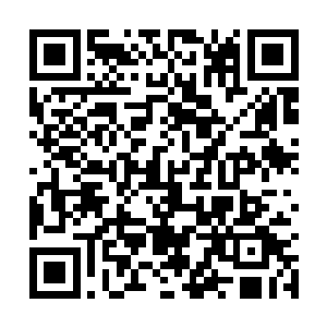 耗费了如此多纸张的新概念英语第一册成本达到了1元二维码生成