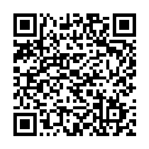 耶律芊芊和君北辰几乎是同时抵达哈马巴楚的药材库二维码生成