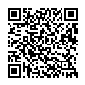 耶律野那一封自然是些耶律泓勾结定王叛国之事二维码生成