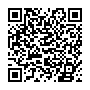 耶律风那从未受过任何苦头的高贵身体何尝被人这般鞭打过二维码生成