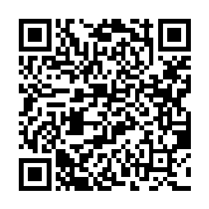 耶稣说的应该是秦洛带着一群龙息成员去溜狗的事情二维码生成
