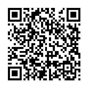 聂云依旧让苍永伪装成他的模样盘膝坐在床上修炼二维码生成