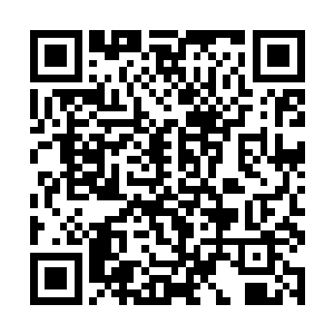 聂云医馆不是多波王子命令的……是叶新少爷找到我二维码生成