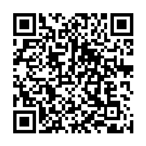 聂云眼睛落在人群最中间那株还没彻底成熟的锦云天株上面二维码生成