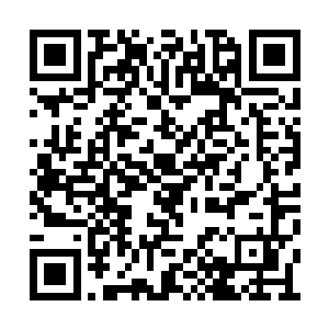 聂云藏好身形这才发现眼前已经出现了一堆老虎二维码生成