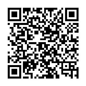 聂明升背后的这轮明月的光辉却是瞬间照亮了整片区域二维码生成