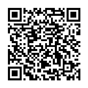 聂离继续对这些良好级成长性的龙血妖灵进行熔炼二维码生成