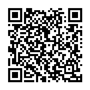 聂远的几个麾下忙是赶去把那痛不欲生的聂远扶起二维码生成