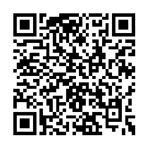 聂铜心里已经把哥哥当成了能让自己晋级的神灵二维码生成