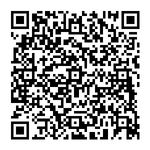联想到先前对方那么郑重的将这个和他身体材质一模一样的手环亲自给自己戴在手腕上的样子二维码生成