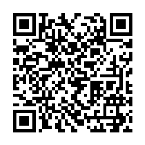 联想起昨天晚上看到罗卿卿桌子上放着的求职简历二维码生成