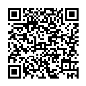 联手起来二十倍于寻常天仙的临死自爆是非常恐怖二维码生成