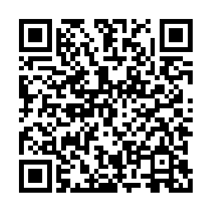 联系到瑞文戴尔的精灵们那强大的魔法屏蔽能力二维码生成