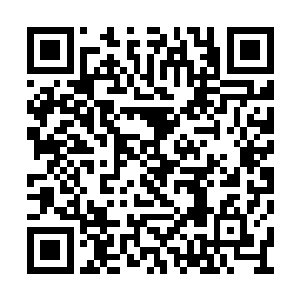 联络器上就出现了关于凌天一号的一些简单信息二维码生成