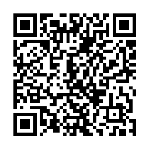 联邦警察称布兰迪在成为恐怖分子前在巴基斯坦训练同时二维码生成