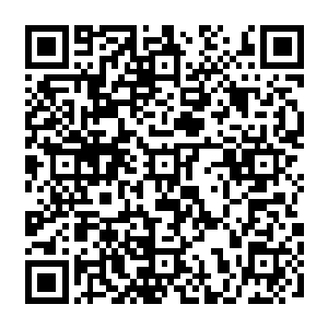 聘请专业律师这样的专业法律人才来维护我们政府自身权益这并不是什么丢人的事儿二维码生成