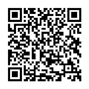 肃清碧落关与前哨大营航道之间以及两侧的墨族二维码生成