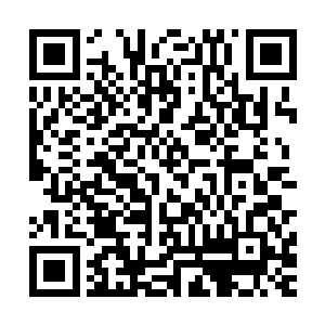 肆无忌惮的哈哈大笑着对着蚩家魔族方阵指指点点的交谈起来二维码生成