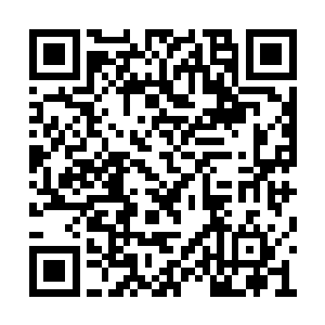 肇事司机妻子竟然穿着红色衣服跟苏以小姨见面二维码生成