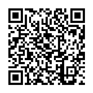 肉身与神魂在凤凰之火的祭炼中真正意义的涅槃过程二维码生成