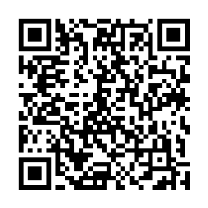 肉身相对而言就更是比王一清等仙婴期的天仙强大了许多二维码生成