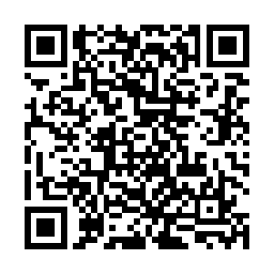 肖美兰跟玩一下的不时从身上抽出柳条拍打着元辰夕道二维码生成