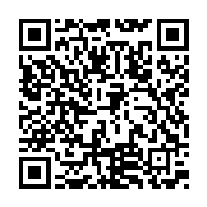 股价更是让星海资本的老板们都没有反应过来的二维码生成
