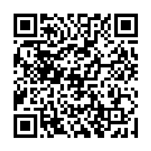 肥肥的脸蛋儿还很不怕羞地在唐婉高耸的双峰上碾了碾二维码生成