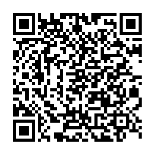 肯定不会考虑接拍新项目的而且即使巡演结束之后我也需要休息调整二维码生成
